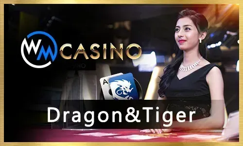 Super Ace Sports Betting